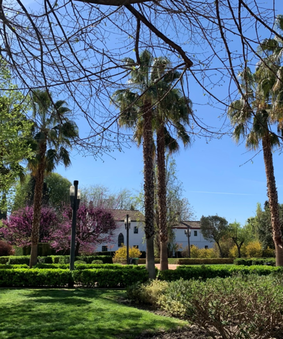 Paseo parque garcia lorca